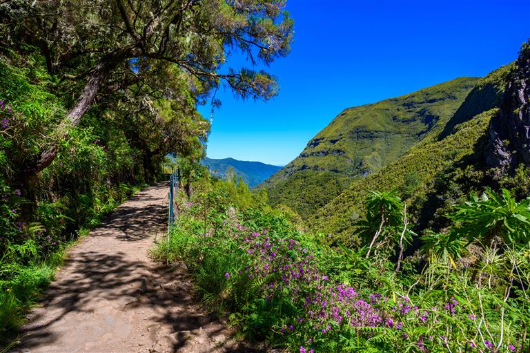 Die besten Seiten von Madeira ©Simon Dannhauer/adobestock
